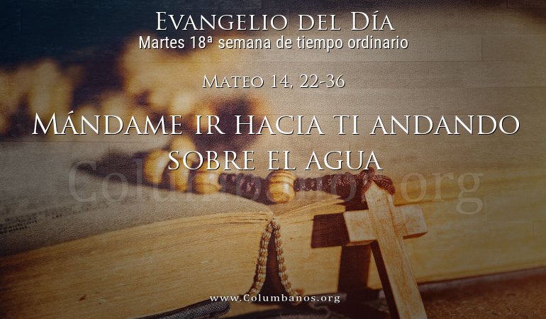 Mateo 14, 22-36