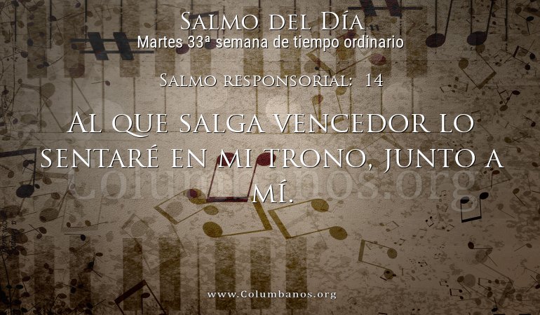 Salmo responsorial:  14