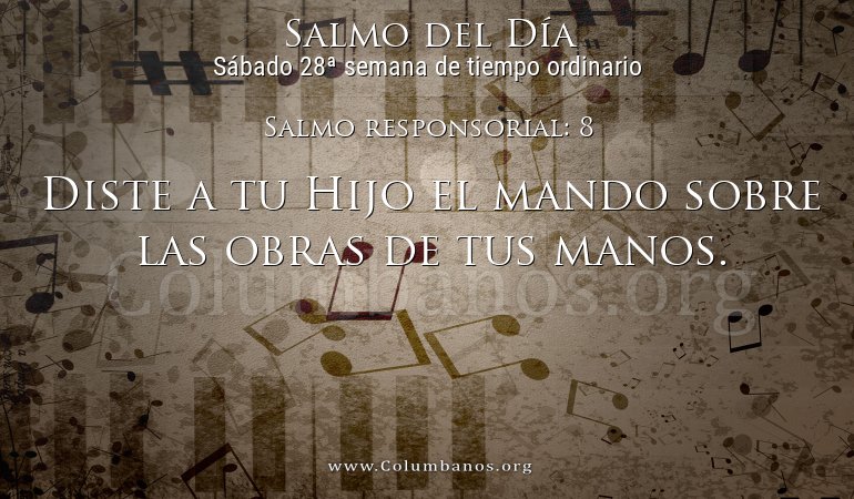Salmo responsorial: 8